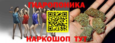 каннабис Новодвинск