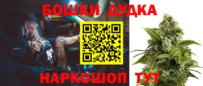 каннабис Новодвинск