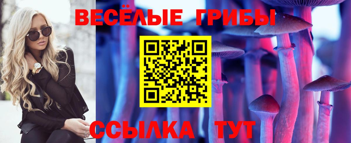 Псилоцибиновые грибы Cubensis Татарск