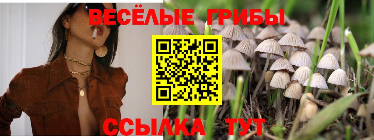 Татарск  Галлюциногенные грибы прущие грибы  Вход с VPN  Псилоцибиновые грибы Psilocybine cubensis 